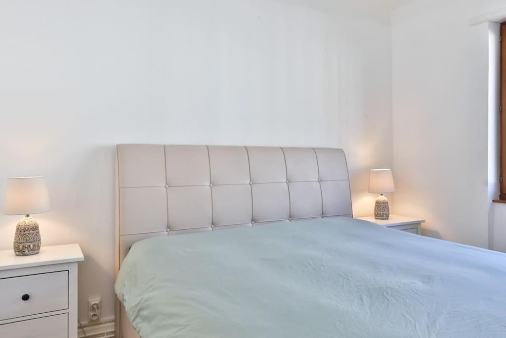 Suite Tres Moderne Et Cosy, Proche Centre-Ville, Mulhouse Centre Bagian luar foto