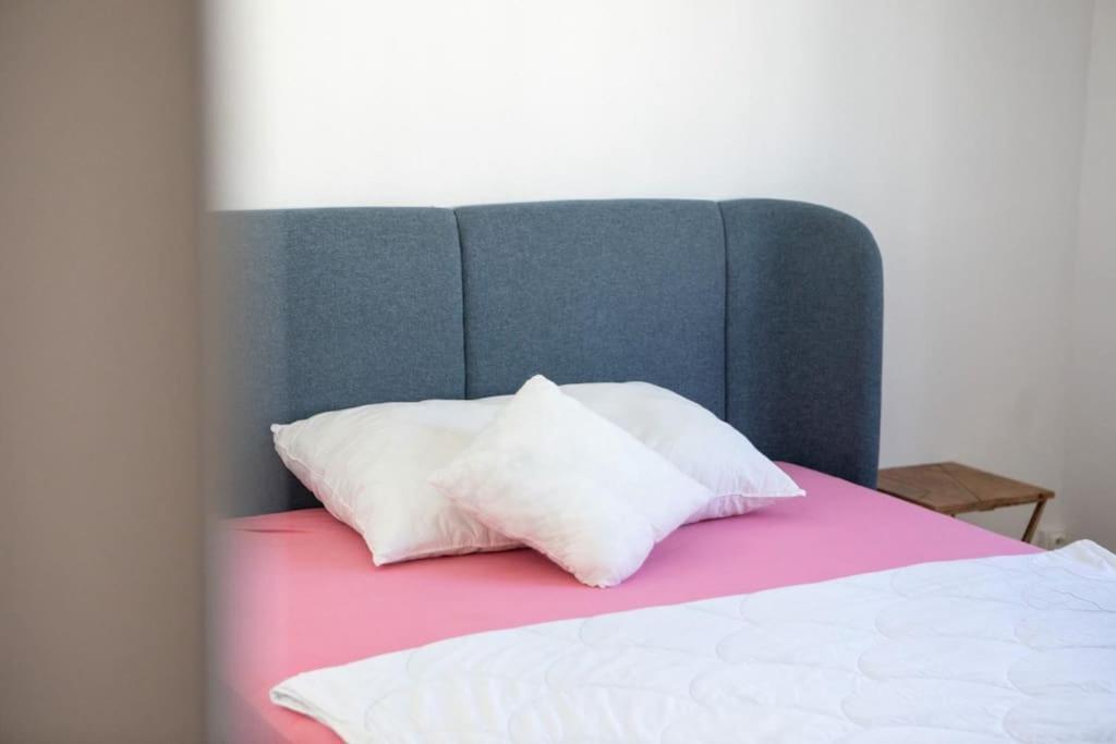 Suite Tres Moderne Et Cosy, Proche Centre-Ville, Mulhouse Centre Bagian luar foto